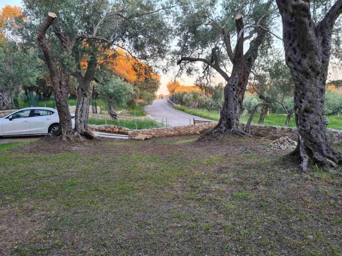 Olea Cottage Ulcinj Eksteriør bilde