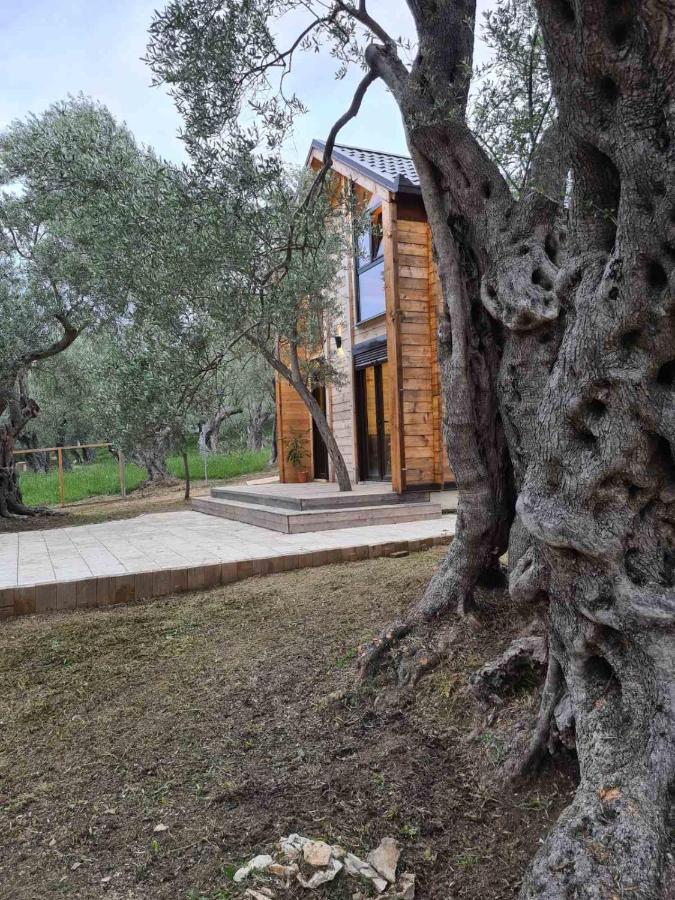 Olea Cottage Ulcinj Eksteriør bilde