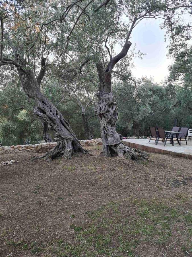Olea Cottage Ulcinj Eksteriør bilde