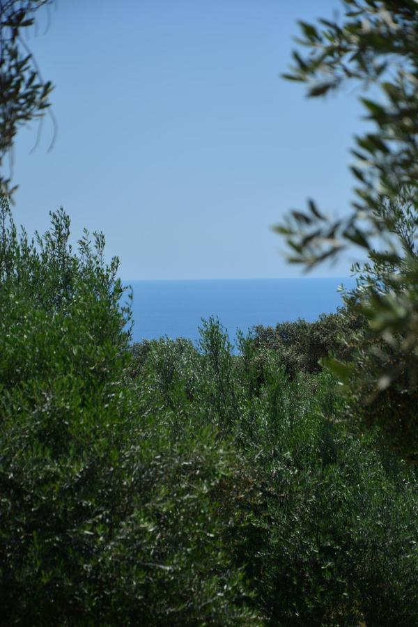 Olea Cottage Ulcinj Eksteriør bilde