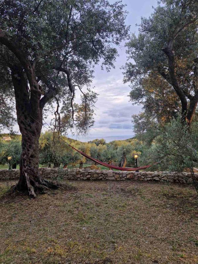 Olea Cottage Ulcinj Eksteriør bilde